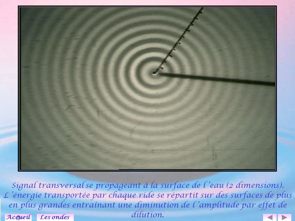 Signal transversal se propageant à la surface de l ’eau (2 dimensions)