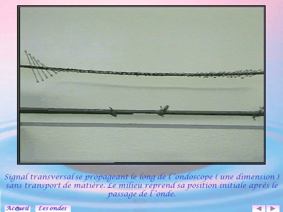 Signal transversal se propageant le long de l ’ondoscope ( une dimension ) sans transport de matière. Le milieu reprend sa position initiale après le passage de l ’onde.