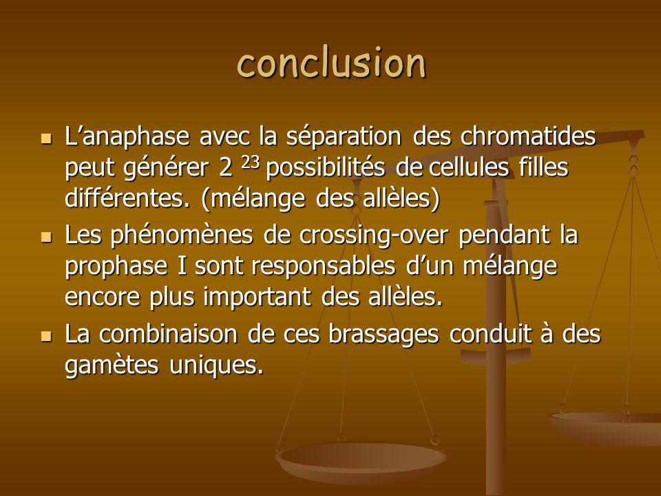 conclusion L’anaphase avec la séparation des chromatides peut générer 2 23 possibilités de cellules filles différentes. (mélange des allèles)