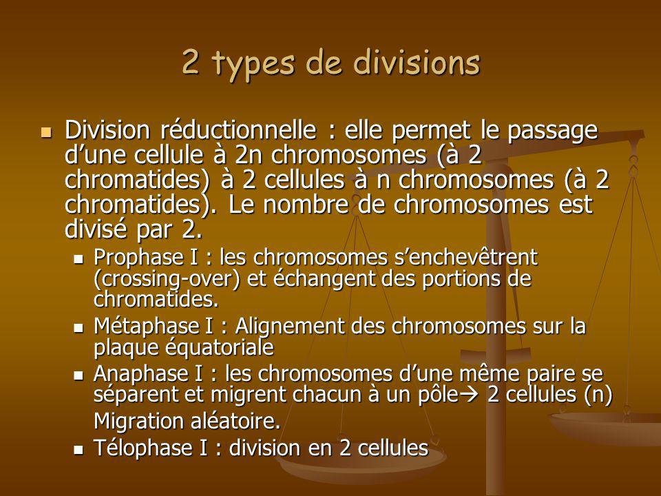 2 types de divisions