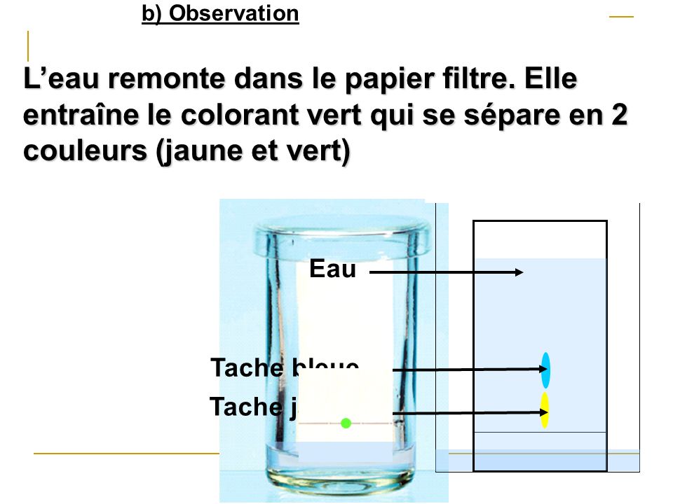 b) Observation L’eau remonte dans le papier filtre. Elle entraîne le colorant vert qui se sépare en 2 couleurs (jaune et vert)