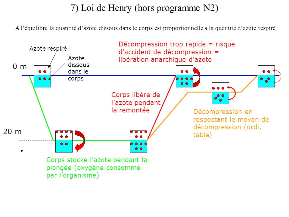 7) Loi de Henry (hors programme N2)