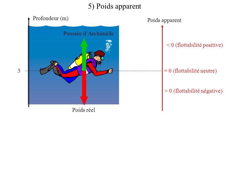 5) Poids apparent Profondeur (m) Poids apparent Poussée d’Archimède