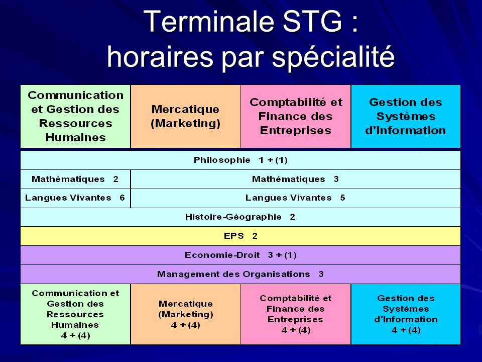 Terminale STG : horaires par spécialité