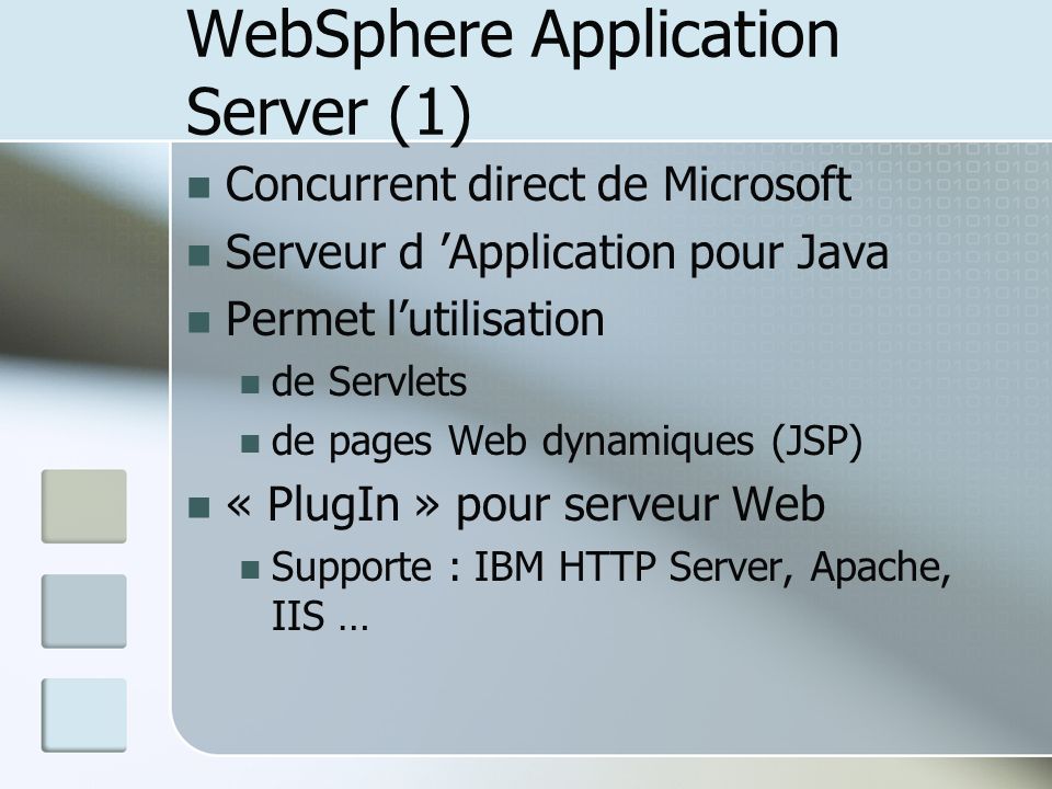 WebSphere Application Server (1)