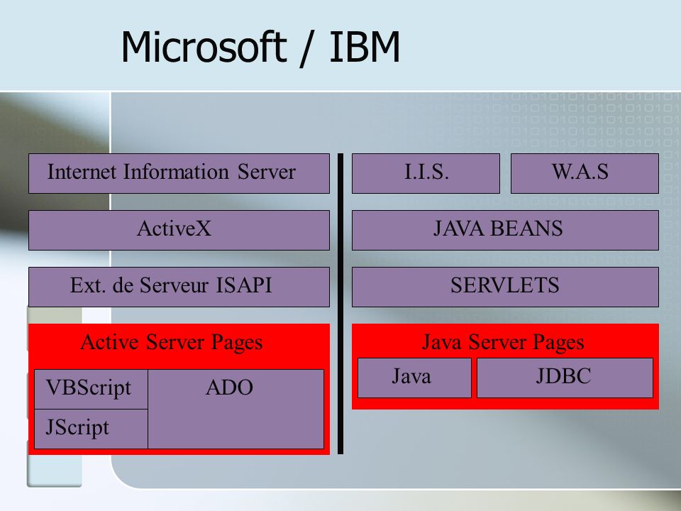Microsoft / IBM Internet Information Server I.I.S. W.A.S ActiveX
