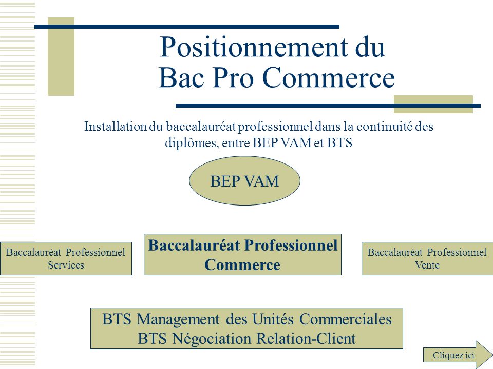 Positionnement du Bac Pro Commerce