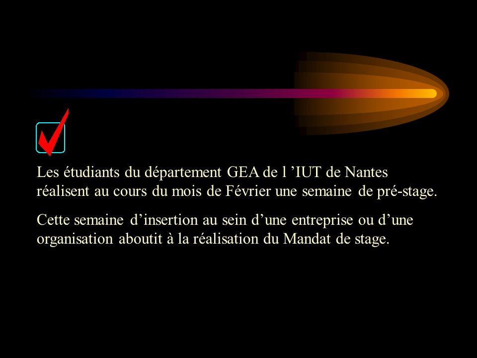 Les étudiants du département GEA de l ’IUT de Nantes réalisent au cours du mois de Février une semaine de pré-stage.