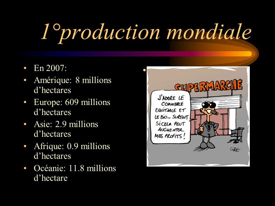 1°production mondiale En 2007: Amérique: 8 millions d’hectares