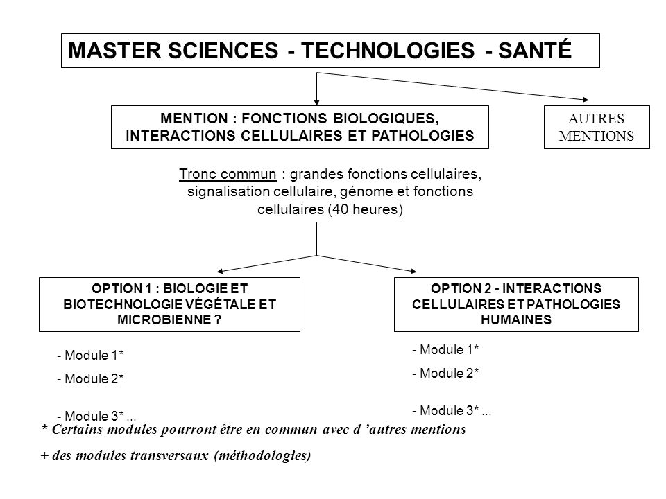 MASTER SCIENCES - TECHNOLOGIES - SANTÉ