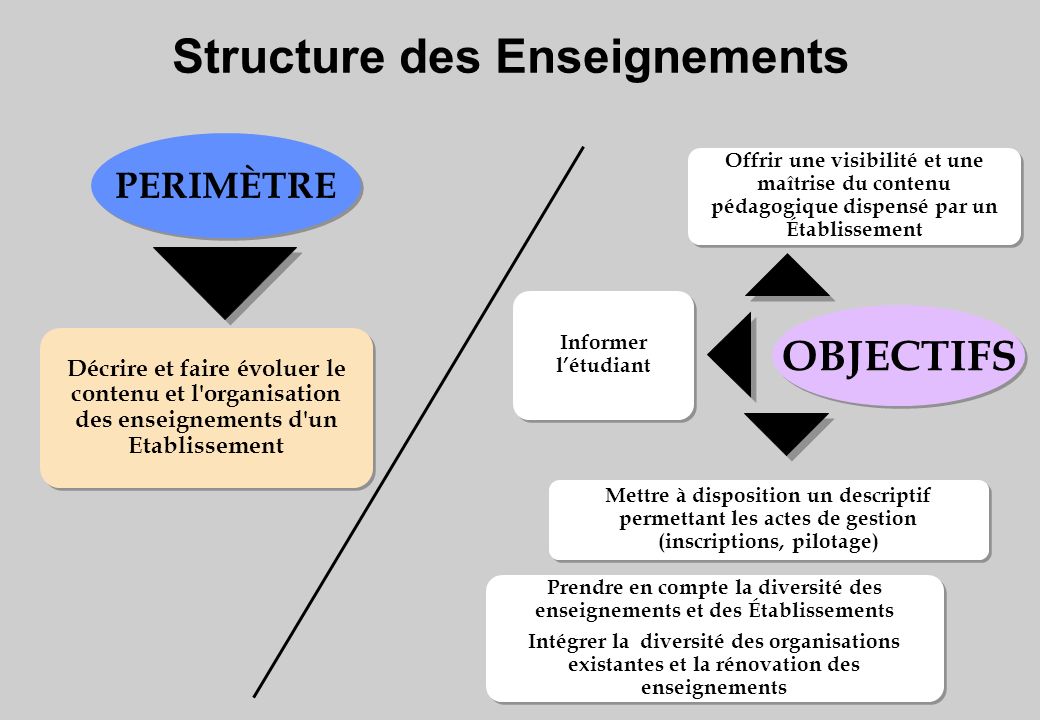Structure des Enseignements