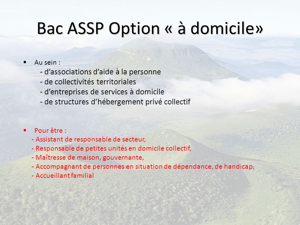 Bac ASSP Option « à domicile»