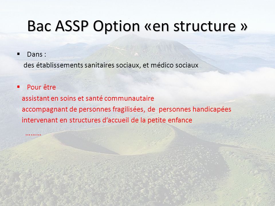 Bac ASSP Option «en structure »