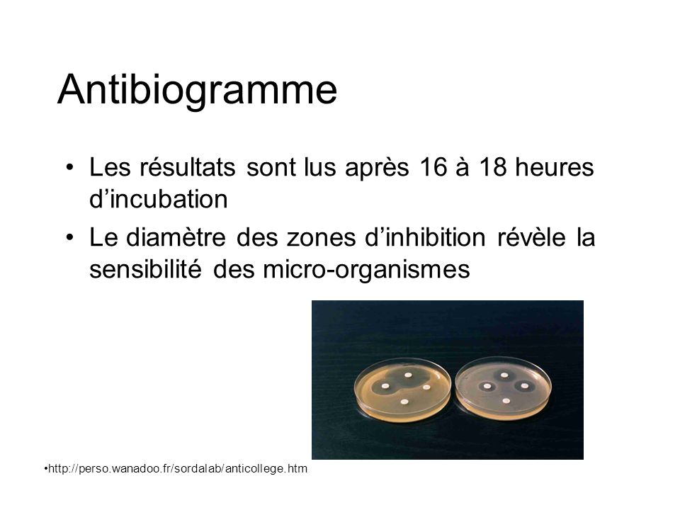 Antibiogramme Les résultats sont lus après 16 à 18 heures d’incubation