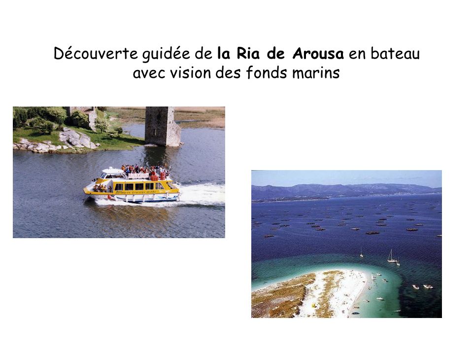 Découverte guidée de la Ria de Arousa en bateau avec vision des fonds marins