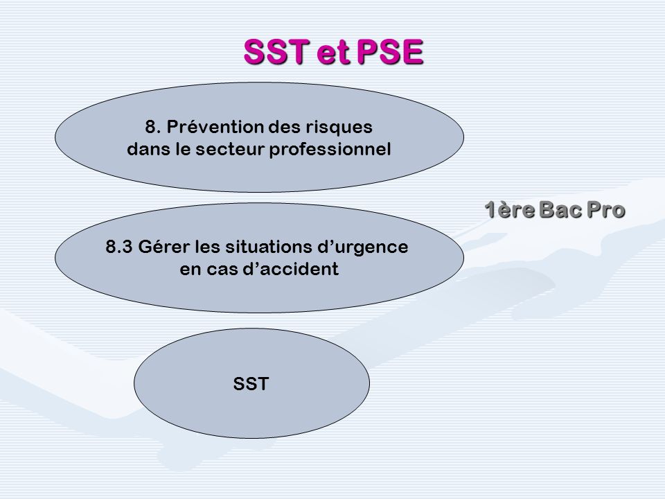 SST et PSE 1ère Bac Pro 8. Prévention des risques