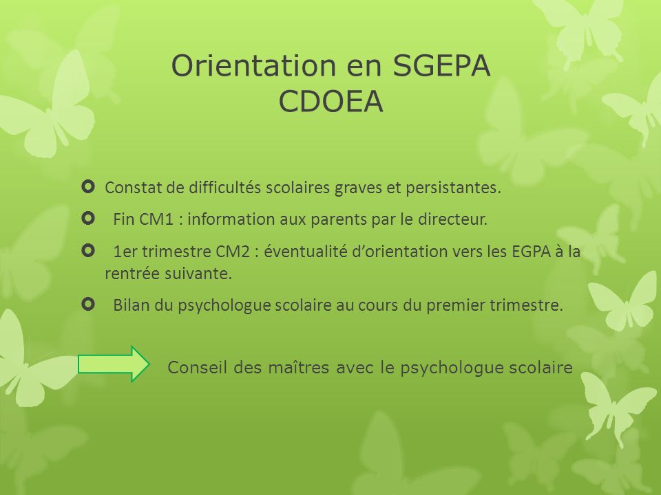 Orientation en SGEPA CDOEA