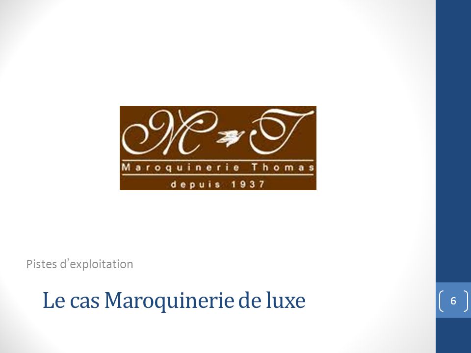 Le cas Maroquinerie de luxe