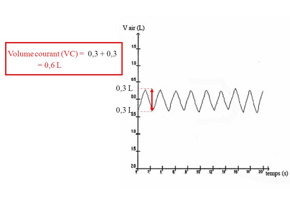 Volume courant (VC) = 0,3 + 0,3 = 0,6 L 0,3 L 0,3 L