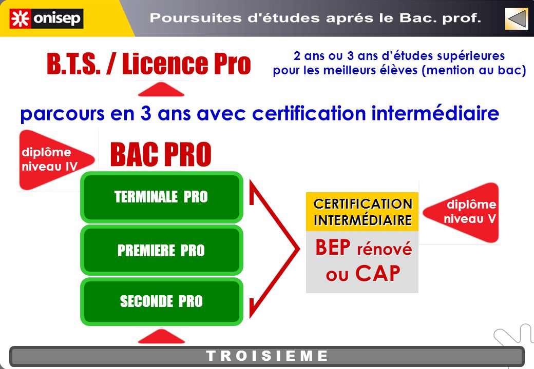 BAC PRO B.T.S. / Licence Pro Poursuites d études aprés le Bac. prof.