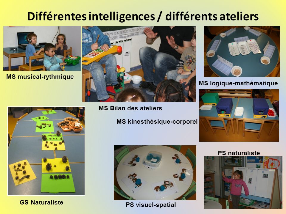 Différentes intelligences / différents ateliers