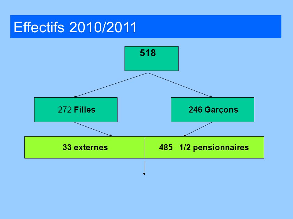 Effectifs 2010/ Filles 246 Garçons 12 externes