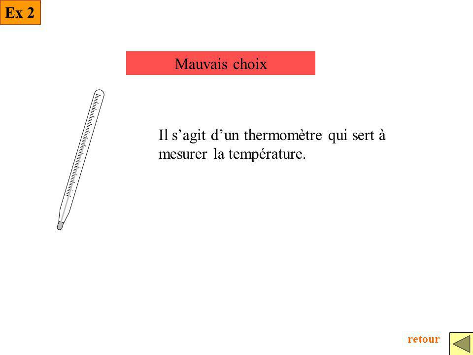 Il s’agit d’un thermomètre qui sert à mesurer la température.
