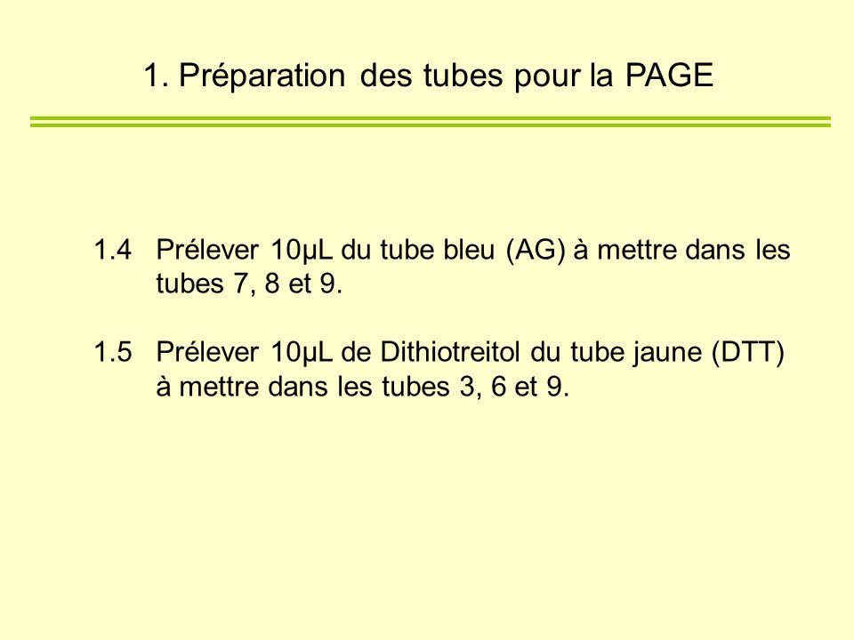 1. Préparation des tubes pour la PAGE