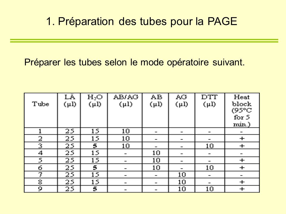 1. Préparation des tubes pour la PAGE
