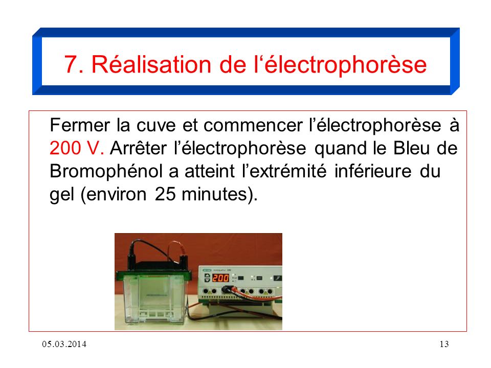 7. Réalisation de l‘électrophorèse