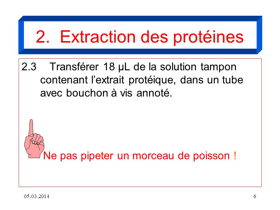 2. Extraction des protéines