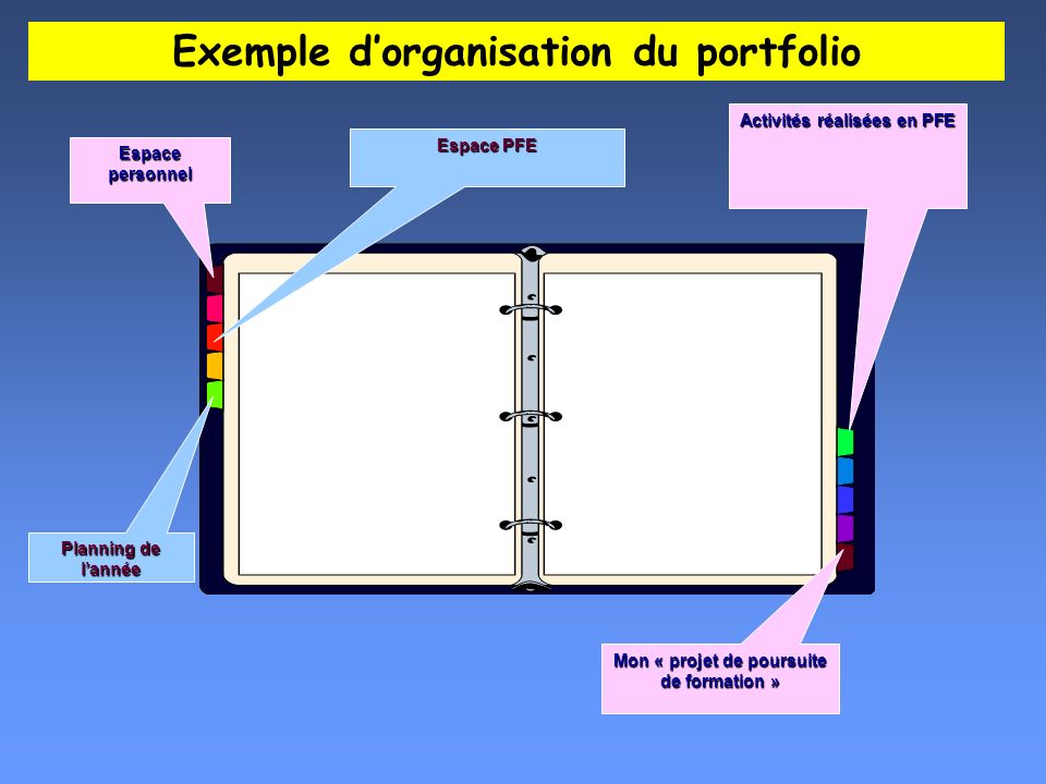 Exemple d’organisation du portfolio