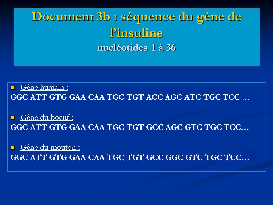 Document 3b : séquence du gène de l’insuline nucléotides 1 à 36