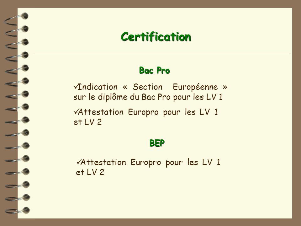 Certification Bac Pro. Indication « Section Européenne » sur le diplôme du Bac Pro pour les LV 1.