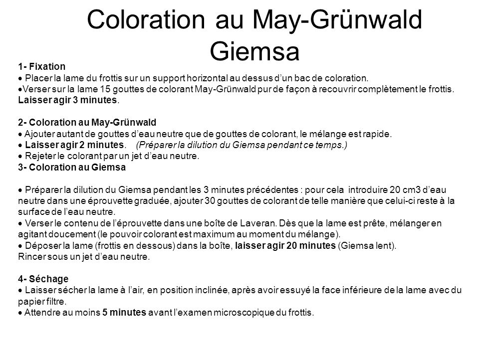 Coloration au May-Grünwald Giemsa
