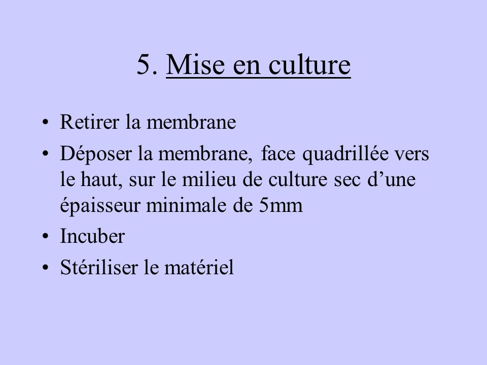 5. Mise en culture Retirer la membrane