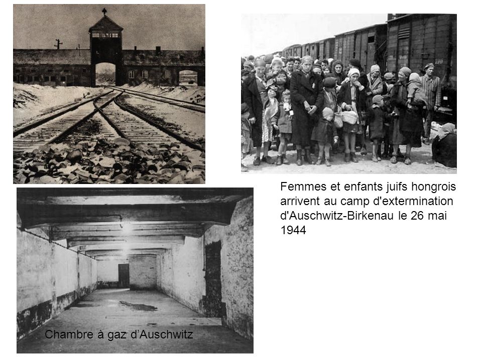Femmes et enfants juifs hongrois arrivent au camp d extermination d Auschwitz-Birkenau le 26 mai 1944