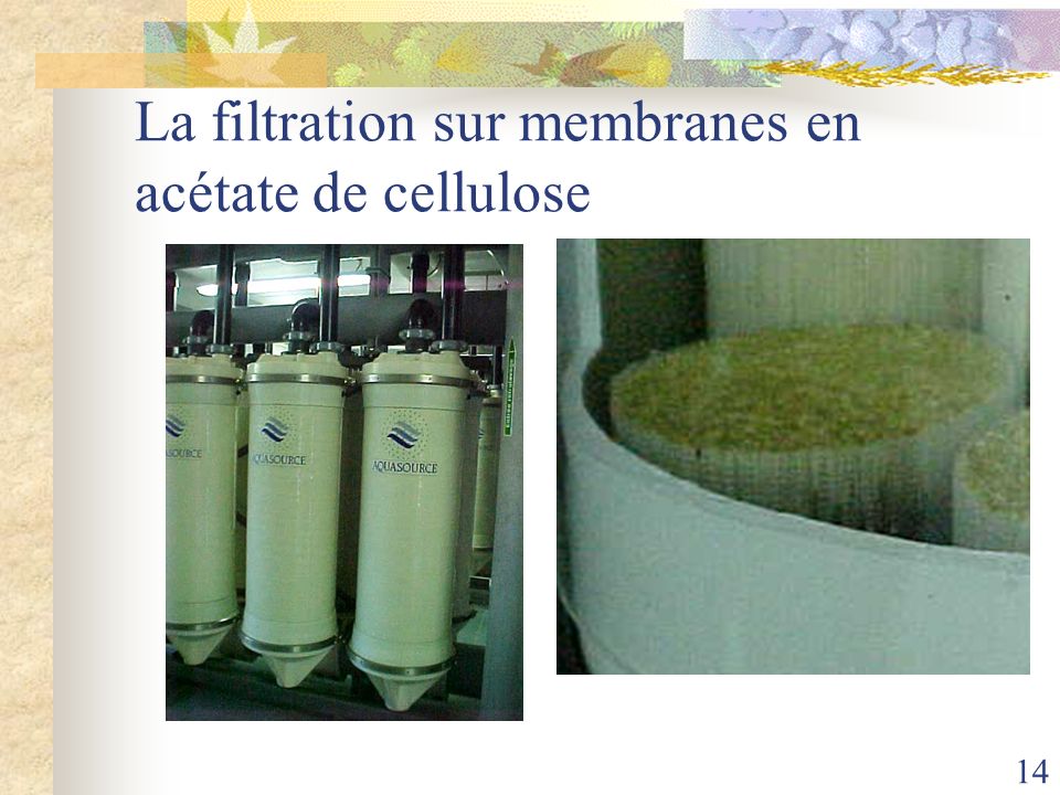 La filtration sur membranes en acétate de cellulose