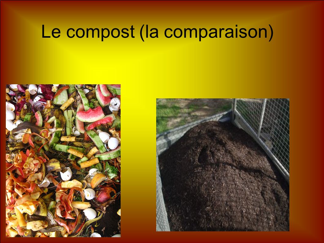 Le compost (la comparaison)‏
