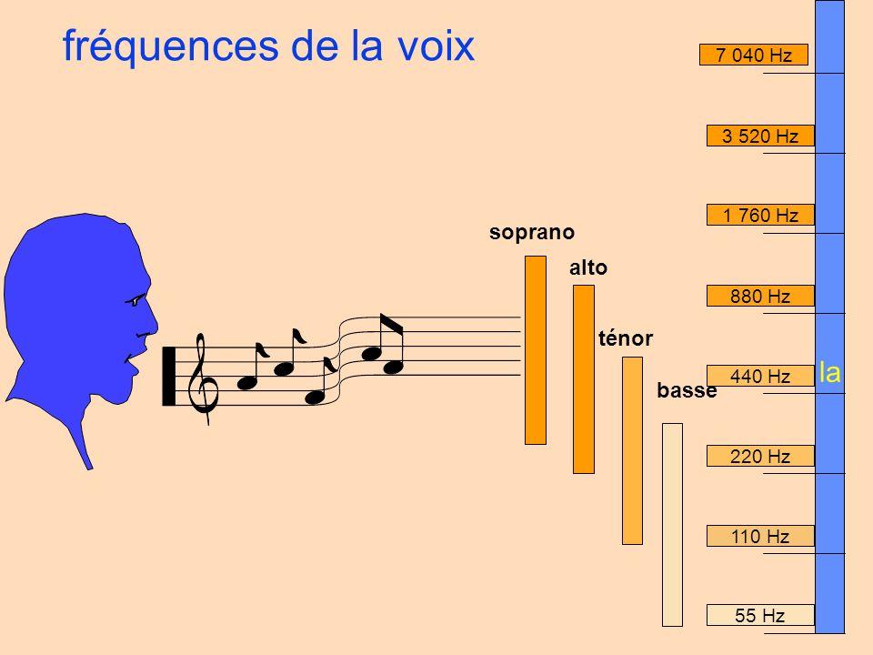 fréquences de la voix la soprano alto ténor basse Hz Hz