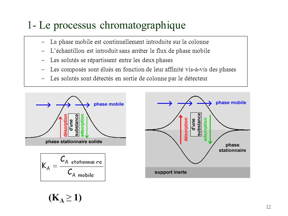 1- Le processus chromatographique