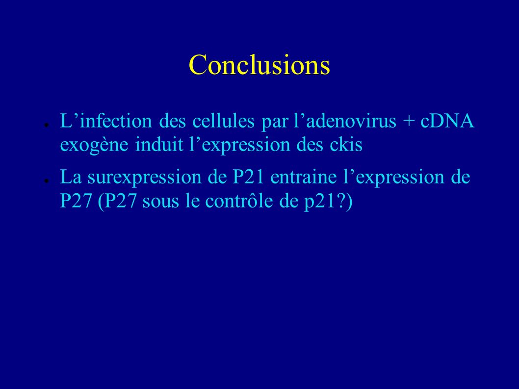 Conclusions L’infection des cellules par l’adenovirus + cDNA exogène induit l’expression des ckis.