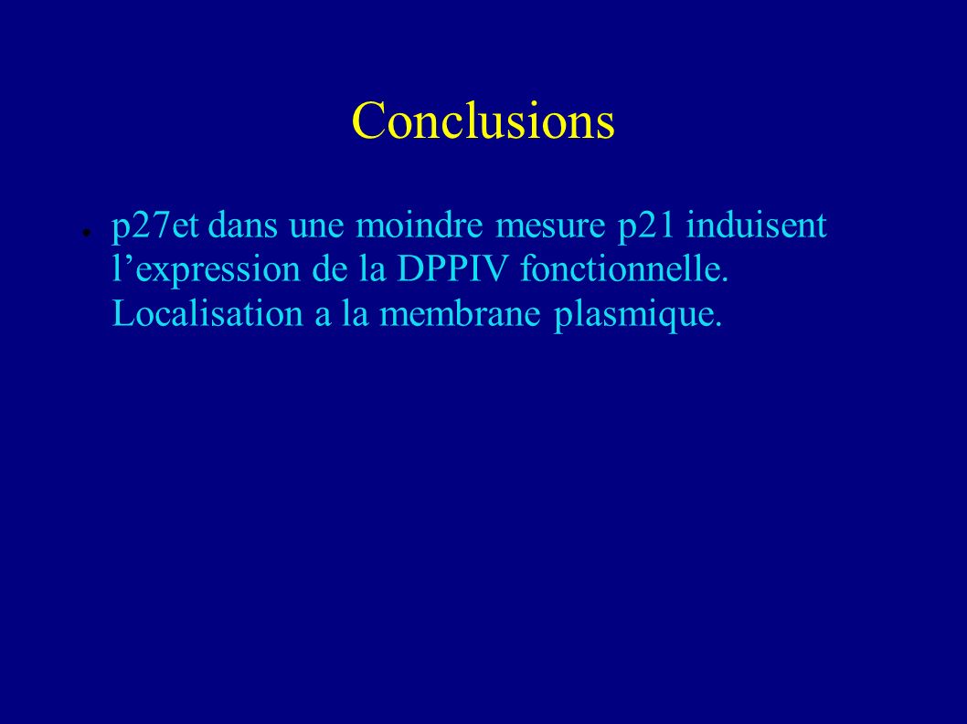Conclusions p27et dans une moindre mesure p21 induisent l’expression de la DPPIV fonctionnelle.