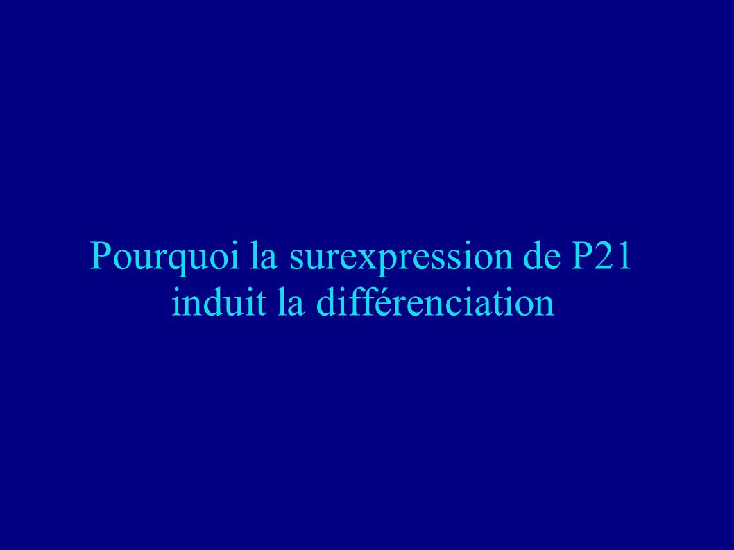 Pourquoi la surexpression de P21 induit la différenciation