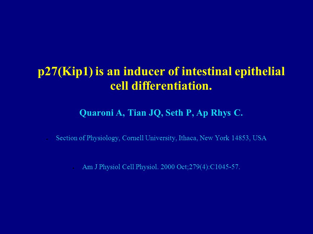 p27(Kip1) is an inducer of intestinal epithelial cell differentiation