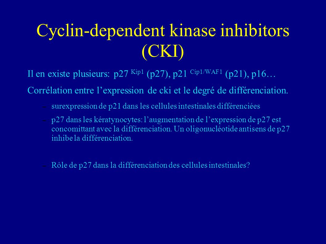 Cyclin-dependent kinase inhibitors (CKI)