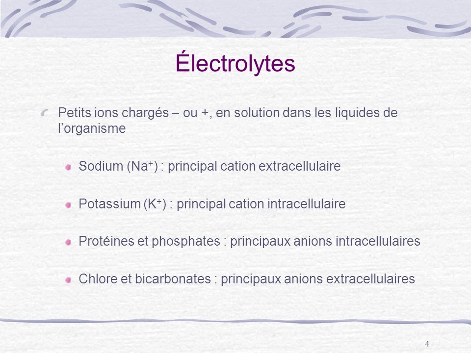 Électrolytes Petits ions chargés – ou +, en solution dans les liquides de l’organisme. Sodium (Na+) : principal cation extracellulaire.
