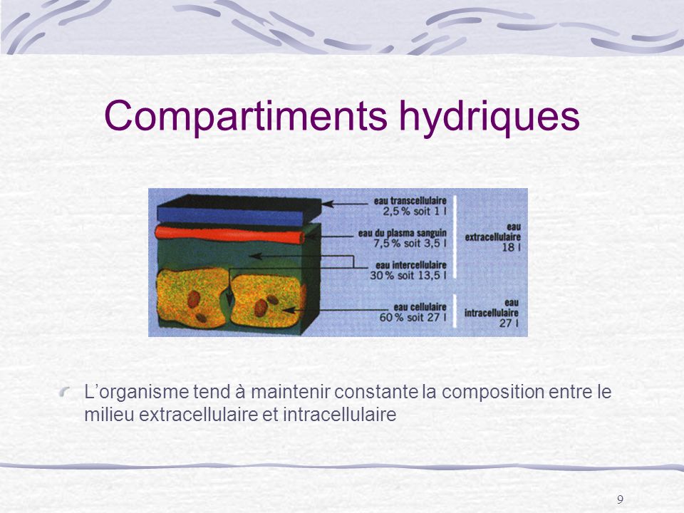 Compartiments hydriques