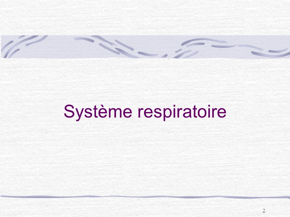 Système respiratoire