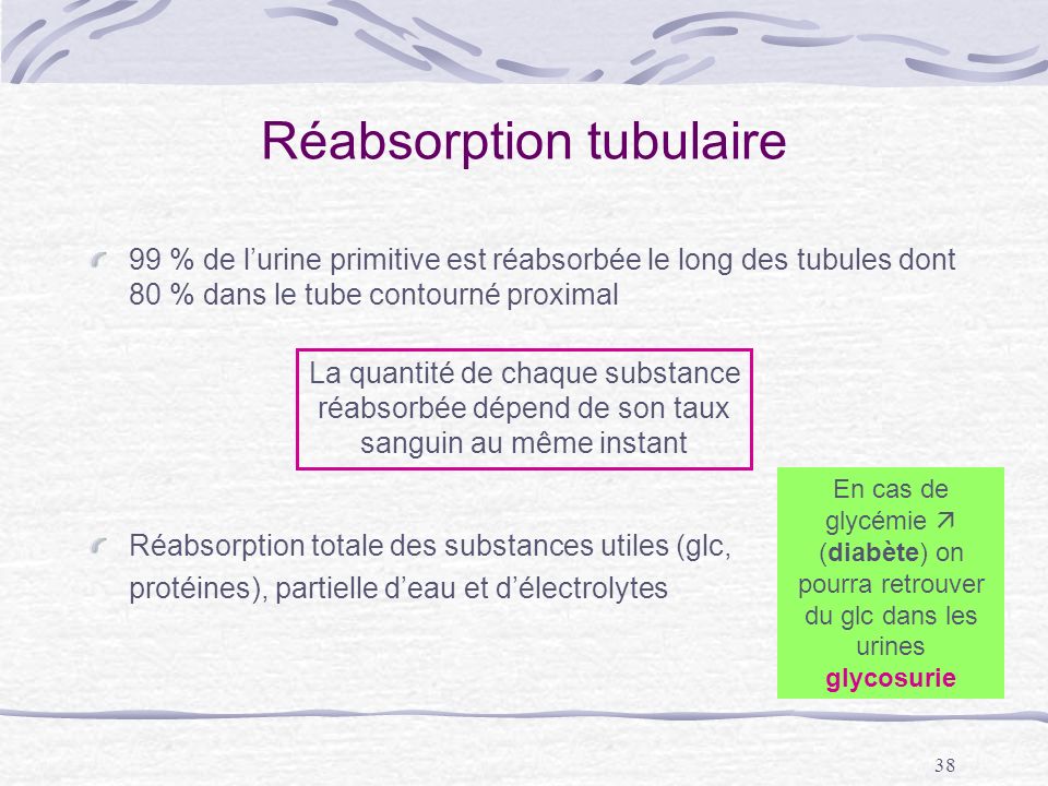 Réabsorption tubulaire